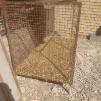 قفس|لوازم جانبی حیوانات|مرودشت, ولایت|دیوار