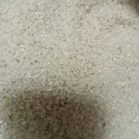 نیم دانه فجر 175000