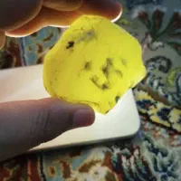 سنگ شجر دریایی|کلکسیون اشیاء عتیقه|تهران, شهرک طالقانی|دیوار