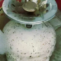 پیک نیک گازی صفر