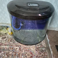 آکواریم شرکتی ماهیران