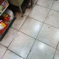 یک همکار برای بوفه باشگاه