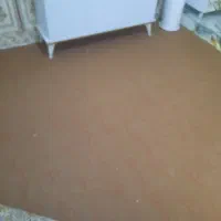 موکت|موکت|نورآباد, |دیوار