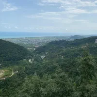 اجاره واحد آپارتمان اربه کله