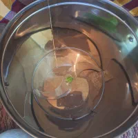 سبزی خورد کن سبز ایران