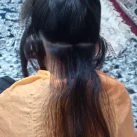 پاکسازی شپش ورشک