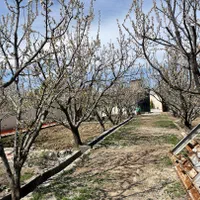 باغ باغچه چهاردیوار ۹۰۰ متررزکان میدان نماز شهریار|فروش خانه و ویلا|تهران, استاد معین|دیوار