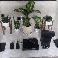 سینما خانواده