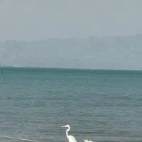 سویت اجاره ای همراه با پارکینگ|اجارهٔ کوتاه‌مدت آپارتمان و سوئیت|درگهان, |دیوار