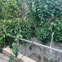 باغچه-نقلی-توبهتربن-روستای-دستگرد