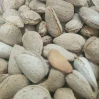 الوچه بادام کشمش عسل|خوردنی و آشامیدنی|اصفهان, بهارستان|دیوار