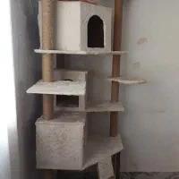 درخت گربه|لوازم جانبی حیوانات|لاهیجان, فیاض|دیوار