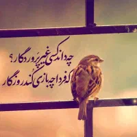 بلوبانک رونصب کن جایزه بگیر