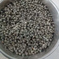 فروش یک کیلوبذربامیه