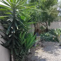 فروش خانه ستونی|فروش خانه و ویلا|زرگرشهر, |دیوار