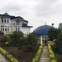 فروش ویلا و تهاتر با ملک در دبی|فروش خانه و ویلا|چالوس, |دیوار