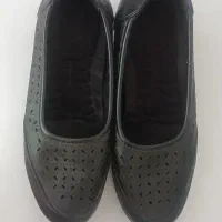 کفش زنانه|کیف، کفش، کمربند|اردبیل, |دیوار