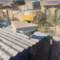 چپ سیاه نر و یک ساده سیاه افشون فروشی|پرنده|جلگه رخ, |دیوار