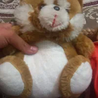 ۴ تا عروسک سالم وتمیز فقط فقط۲۵۰ هزار تومان|اسباب‌بازی بچه|خمینی‌شهر, |دیوار