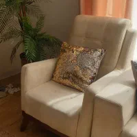 مبلمان|مبلمان خانگی و میز عسلی|شاهین‌شهر, حافظ جنوبی|دیوار