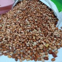 به چند نفر نیرو خانم برای کار در منزل نیازمندیم