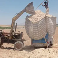 کاه سفید الیگودرز درجه 1 گاو و گوسفند