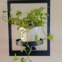 فروش گلدان مینی‌مال