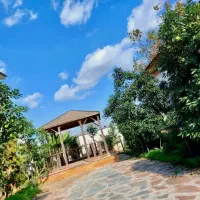 خونه باغ بااصالت ۵۰۰ متری باسندتک برگ و باغ مرکبات|فروش خانه و ویلا|نور, |دیوار