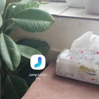 گارگراستادکار‌وارد