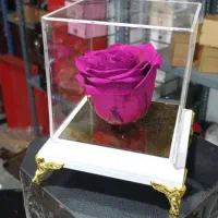 سلام به کوهدشتی های عزیز رز جاودان رسید|گل و گیاه طبیعی|کوهدشت, |دیوار