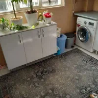 نیازمند-همخانه-خانم