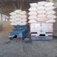 فروش کاه گندم تحویل در محل