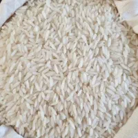 فروش برنج ۱۰۰ کیلو کیفیت عالی