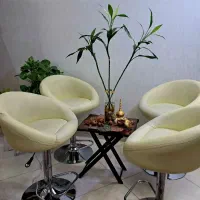 صندلی اپن جک دار ، چهار عدد