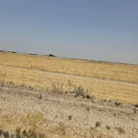 اجاره زمین کشاورزی ۱۴ هکتار
