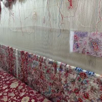 خانم قالیباف