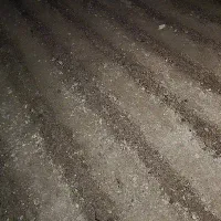 کود حیوانی برای گیاهان دارویی|عمده‌فروشی|کوهدشت, |دیوار