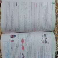 کتاب زیست شناسی میکرو نقره ای دهم|کتاب و مجله آموزشی|اسلام‌شهر, |دیوار