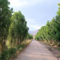 اجاره پرورش ماهی|اجارهٔ دفتر صنعتی، کشاورزی، تجاری|ازنا, |دیوار