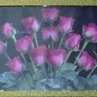 عکس دیواری|تابلو، نقاشی، عکس|شادگان, |دیوار