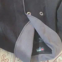 پالتوزنانه