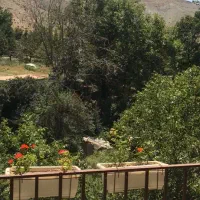 فرش-چند-قطعه-باغ-با-سند-ومجوز-کمربندی-دانشگاه-ازاد