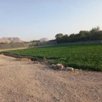 زمین-کشاورزی-دو-طرف-جاده-چنگان-بسیار-خوش-جا
