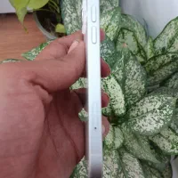 13نرمال|موبایل|بوشهر, |دیوار