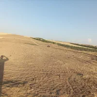 زمین کشاورزی|فروش زمین و ملک کلنگی|سراجو, |دیوار