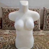 مانکن|فروشگاه و مغازه|ابهر, |دیوار