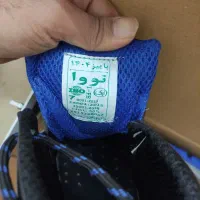 کفش نونوپلمپ|کیف، کفش، کمربند|مشهد, شهرک مطهری|دیوار