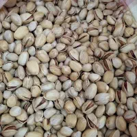 پسته کله قوچی