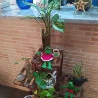 فروش گلهای اپارتمانی