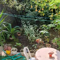 سوییت تمیز همراه پارکینگ مسقف و حیاط خلوت